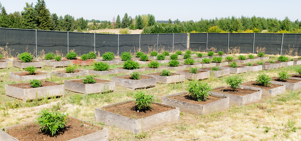 17 Best Marijuana Insurance Companies Marijuana SEO™