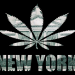 how to open new york dispensary