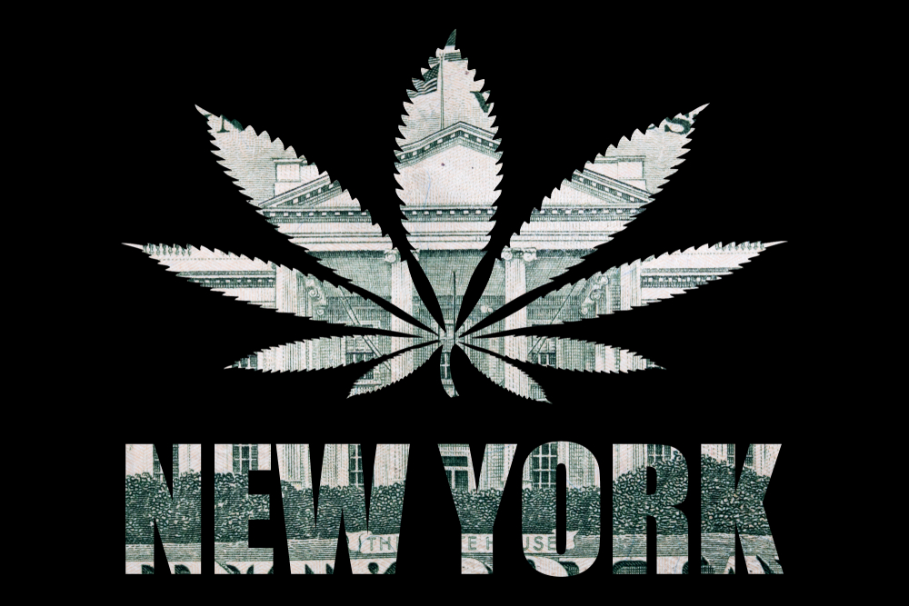 how to open new york dispensary